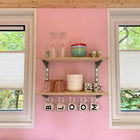 Vakantiehuis Boshuisje Tiny Bloom Nunspeet