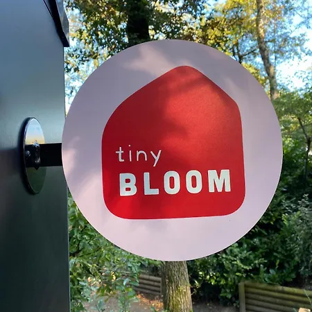Vakantiehuis Boshuisje Tiny Bloom Nunspeet